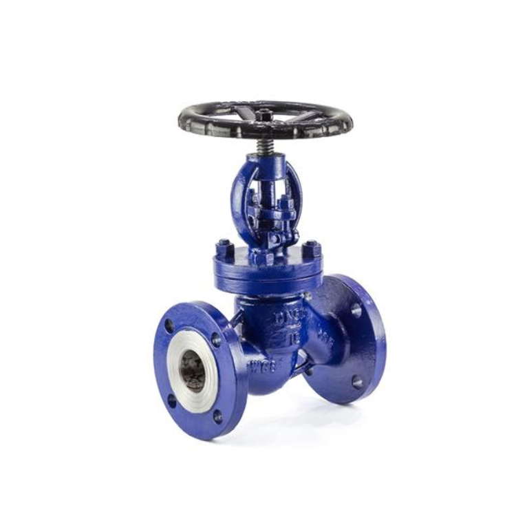 Globe Valve